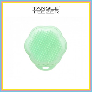 TANGLE หวี แทงเกิ้ล ทีเซอร์ TEEZER CAT TEEZER