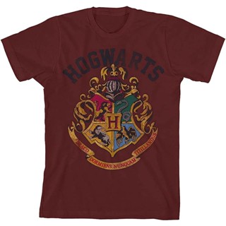 เสื้อยืด พิมพ์ลายกราฟฟิค Harry Potter Hogwarts Crest Youth สําหรับผู้ชาย