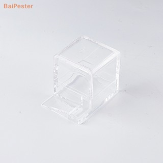 [BaiPester] พื้นที่ให้อาหารมด รังมด หรือแมลง สําหรับสัตว์เลี้ยง