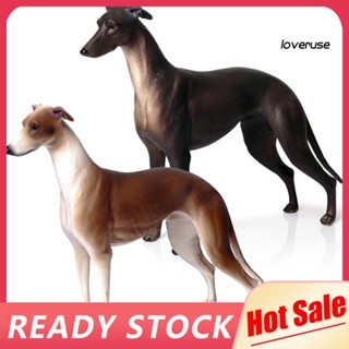 Loveruse โมเดลฟิกเกอร์ PVC รูปสัตว์ Greyhound ขนาด 20 ซม. ของเล่นสําหรับเด็ก