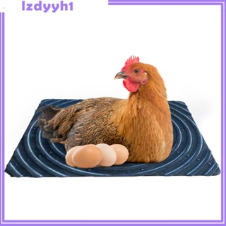 [JoyDIY] แผ่นรังไก่ แบบนิ่ม สําหรับวางไข่