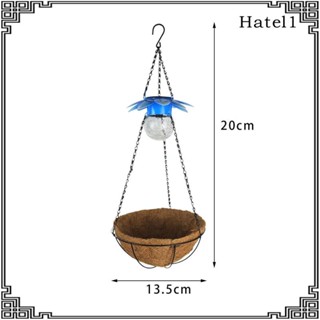 [Hatel] กระถางต้นไม้ พลังงานแสงอาทิตย์ LED ทรงกลม สําหรับแขวนตกแต่ง