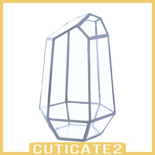 [Cuticate2] สวนขวดแก้ว สําหรับต้นไม้อวบน้ํา ระเบียง