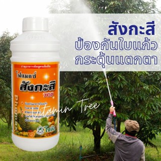 โฟแมกซ์ สังกะสี 700 ป้องกันอาการใบแก้ว กระตุ้นการแตกตา ขนาด 1 ลิตร โซตัส