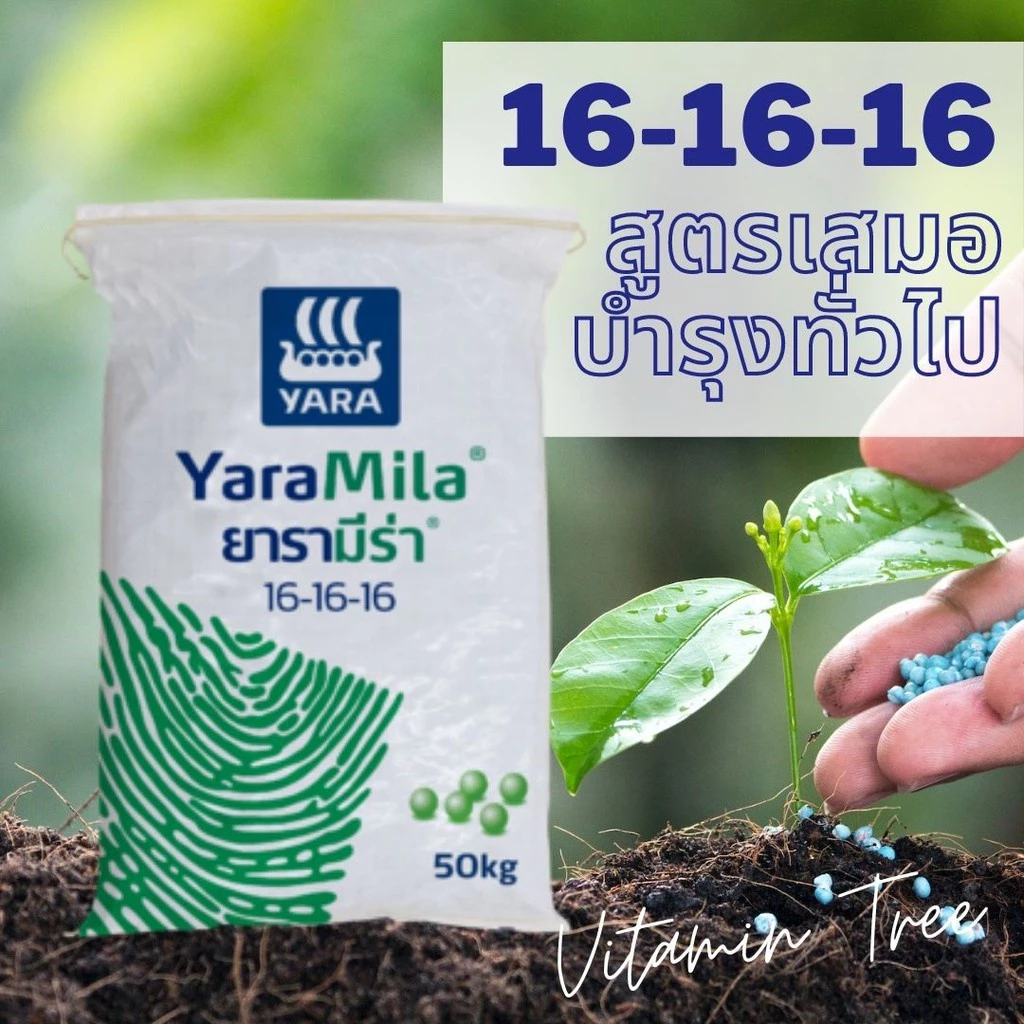 ยารามีร่า16-16-16 50กก. ปุ๋ยสูตรเสมอ บำรุงทั่วไป ใช้ได้ทุกพืช ธาตุอาหารหลักเต็มที่