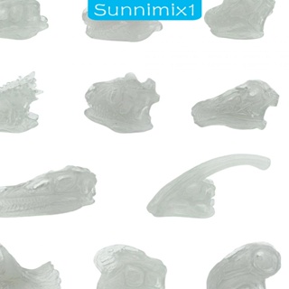 [Sunnimix1] โมเดลหัวกะโหลกไดโนเสาร์เรืองแสง ของเล่นวิทยาศาสตร์ สําหรับเด็ก