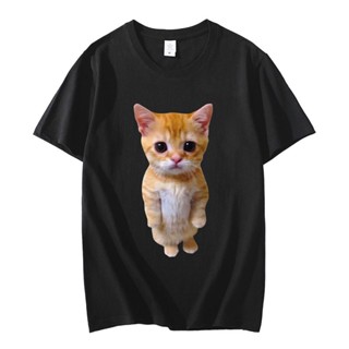 เสื้อยืด พิมพ์ลายกราฟิก El Gato Meme Sad Crying Cat Munchkin Kitty Meme อินเทรนด์