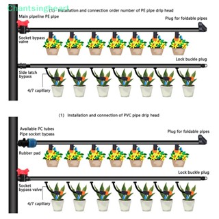 &lt;Chantsingheart&gt; อุปกรณ์รดน้ําต้นไม้ แบบหยด ขนาดเล็ก 2 ชิ้น