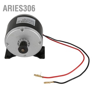 Aries306 My1016 มอเตอร์แปรงอะลูมิเนียม ขนาดเล็ก แบบพกพา 24V 300W สําหรับยานพาหนะ สกูตเตอร์ไฟฟ้า