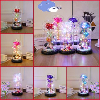 Lilac1 ดอกกุหลาบปลอม สีทอง พร้อมสายไฟ Led สําหรับตกแต่งวันวาเลนไทน์