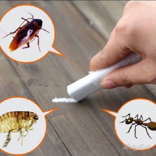 ღ ชอล์กแมลงสาบ Killer Ant Lice Flea Bugs Repellent แมลงสาบฆ่า Baitmiraculous แมลงชอล์กยาฆ่าแมลงผงแมลง Repellents