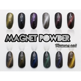 ผงแม่เหล็กสี MAGNET POWDER ชุด12สี พร้อมแม่เหล็กสำหรับดูดผง 1ชิ้น