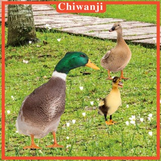 [Chiwanji] ป้ายรูปปั้นเป็ด 3 ชิ้น สําหรับตกแต่งสวนหลังบ้าน