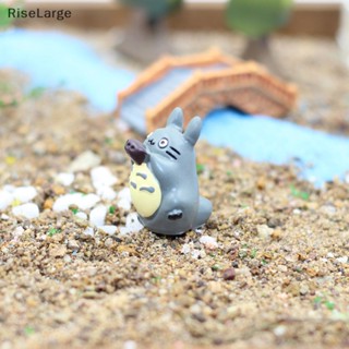 [RiseLarge] ฟิกเกอร์ Kawaii Totoro ขนาดเล็ก สําหรับตกแต่งบ้านตุ๊กตา DIY