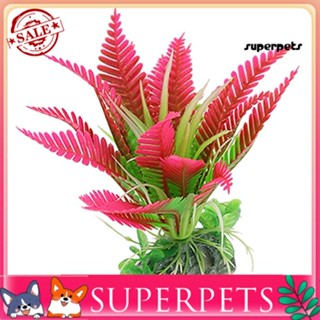 Superpets หญ้าปลอม ฐานเซรามิค พลาสติก สําหรับตู้ปลา 1 ชิ้น