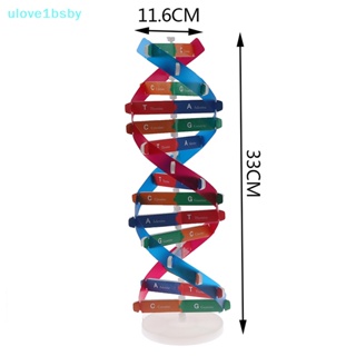 Ulove1bsby โมเดลของเล่นวิทยาศาสตร์ DNA เพื่อการเรียนรู้เด็ก