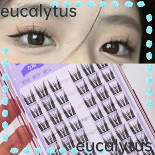 Eucalytus1 ขนตาปลอม ยาว เป็นธรรมชาติ แฮนด์เมด DIY สําหรับผู้หญิง