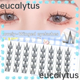 Eucalytus1 ขนตาปลอมไฟเบอร์ธรรมชาติ สําหรับผู้หญิง