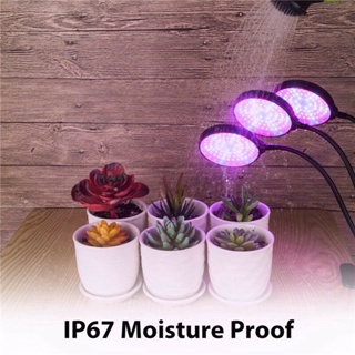 หลอดไฟส่องทาง 🔥พร้อมส่ง🔥ไฟปลูกต้นไม้ LED grow light full spectrum ปรับแสงได้สามแบบ (น้ำเงิน/แดง/น้ำเงินผสมแดง)