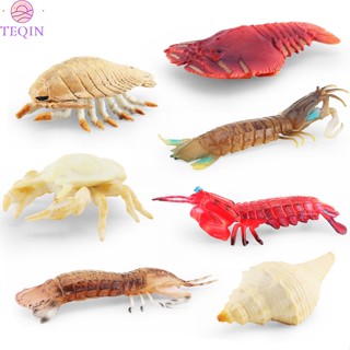 Teqin โมเดลฟิกเกอร์ รูปกุ้ง ปู สัตว์ใต้น้ํา ของเล่นเสริมการเรียนรู้ สําหรับเด็ก