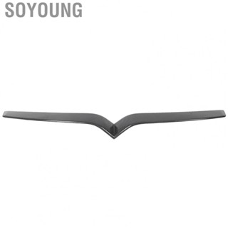 Soyoung Auto Front Grille Trim  Scratch Car Strip Replacement For