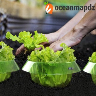 OCEANMAPDZ ฝาครอบป้องกันผัก พลาสติก ทนทาน สําหรับปลูกต้นไม้ หอยทาก