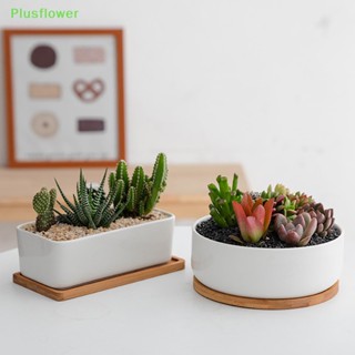 (Plusflower) กระถางดอกไม้เซรามิค พอร์ซเลน ทรงกลม ทรงสี่เหลี่ยม สีเขียว เรียบง่าย สําหรับตกแต่งบ้าน สวน ระเบียง