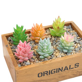 Succulents หัวดอกไม้ สามพีระมิด Jinhua โรงงาน จัดหาโดยตรง หัวดอกไม้ DIY อุปกรณ์เสริม เครื่องประดับ เครื่องประดับ จัดส่งชิ้นเดียว