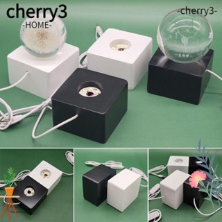 Cherry3 ฐานโคมไฟกลางคืน LED โรแมนติก ชาร์จ USB สําหรับของขวัญ