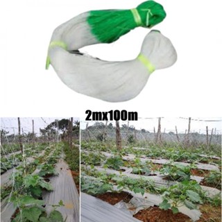 Nylon Plant Support Netting Fruits Climb Mesh Garden Vegetable Pea Bean Grow New