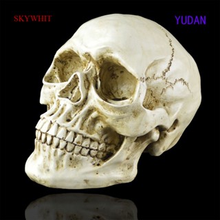 Yudan โมเดลหัวกะโหลกเรซิ่น 1:1 สําหรับประดับตกแต่งปาร์ตี้ฮาโลวีน