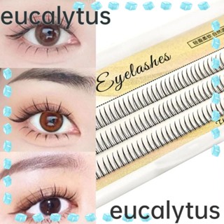 Eucalytus1 ขนตาปลอม ทรงเอ สีดํา ดูเป็นธรรมชาติ สําหรับผู้หญิง