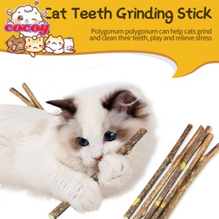 cocoy 【 fast Delievery 】 Cat Molar Stick Mu Tianli ทำความสะอาดฟันเพื่อแกล้ง Cat Stick เพื่อบรรเทาความเบื่อจากอุปกรณ์แมวที่รักษาตัวเองของเล่นขนมแมว