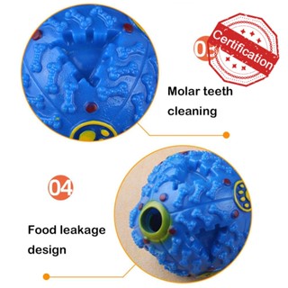 ของเล่นลูกบอลอาหาร ทนต่อการกัด ทนต่อการกัด สําหรับสัตว์เลี้ยง สุนัข U0J1