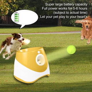 Pets Shop Dog Automatic Ball Launcher Interactive Pet Thrower เกมขว้างปาสำหรับกลางแจ้งในร่ม