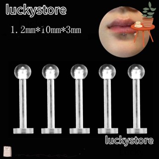 Lucky จิวเจาะร่างกาย จมูก ปาก และปาก แบบสตั๊ด