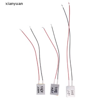 Xianyuan แผ่นทําความร้อนไฟฟ้า PTC 12V 24V 220V