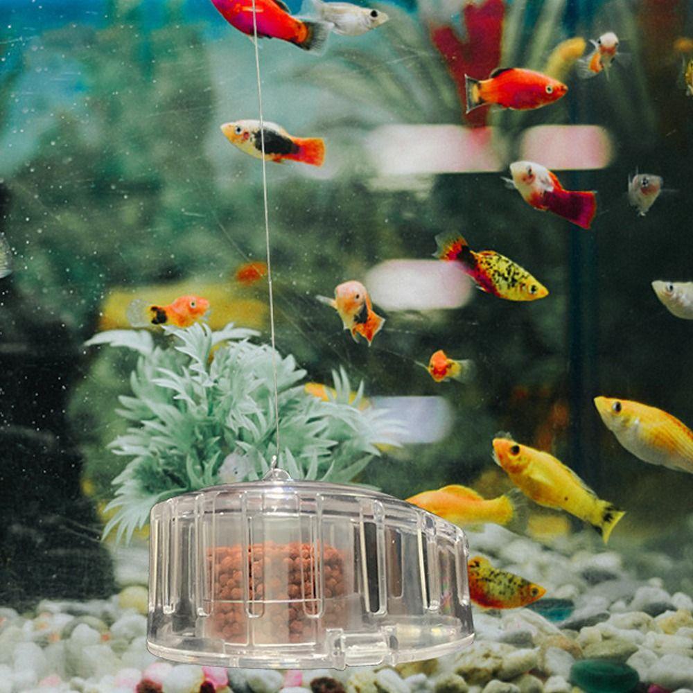 Fallforbeauty กับดักหอยทาก Catcher แบบพกพาโปร่งใสทนทานกับเหยื่ออาหาร Aquarium อุปกรณ์เสริม Planaria Pest Catch กล่อง - รูปที่ 5