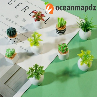 Oceanmapdz โมเดลต้นกระบองเพชรจําลอง ทรงกลม ขนาดเล็ก ไร้ฝุ่น สําหรับตกแต่งสวน