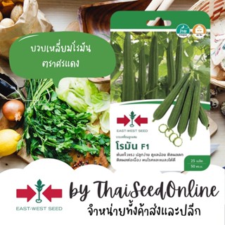 GGEW เมล็ดพันธุ์ซฟ เมล็ดพันธุ์ บวบเหลี่ยมโรมัน 25เมล็ด ตราศรแดง Angled Gourd