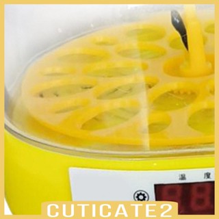 [Cuticate2] เครื่องฟักไข่อัตโนมัติ ขนาดเล็ก ควบคุมอุณหภูมิ สําหรับนกแก้ว นกกระทา