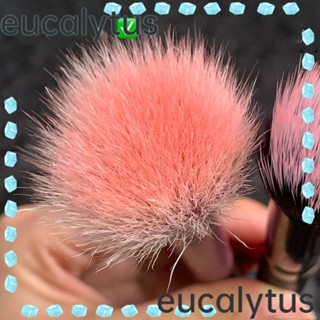 Eucalytus1 แปรงแต่งหน้า ขนสัตว์ อลูมิเนียม หัวแบน สีพื้น