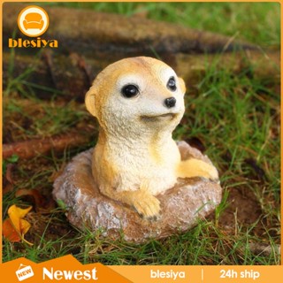 [Blesiya] รูปปั้น Meerkat สําหรับตกแต่งบ้าน ลานบ้าน เตียง ลายดอกไม้