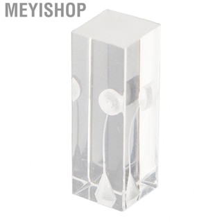 Meyishop Root Canal Exercise Block Oral Model Transparent For