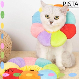 Pista ปลอกคอ ทรงกรวย ขนาดเล็ก น่ารัก สําหรับสัตว์เลี้ยง สุนัข แมว