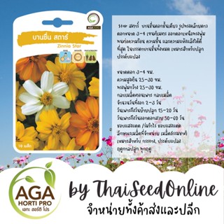 AGAPREMIUM บานชื่นสตาร์ 10เมล็ด ตราเอกะอะโกร Zinnia