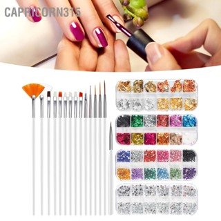 Capricorn315 ชุดเครื่องมือทำเล็บหัวคู่ Rhinestone Point เจาะ ปากกา แปรง DIY อุปกรณ์แต่งเล็บ