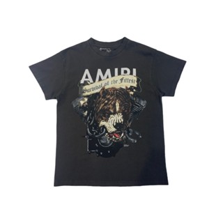 Amiri เสื้อยืด แขนสั้น พิมพ์ลายหัวสุนัขพิทบูล สีเทา สไตล์สตรีท สําหรับผู้ชาย