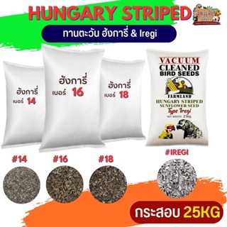 Hungary ทานตะวัน ฮังการี่นอก #14,16,18,IREGI สำหรับนกแก้วทุกสายพันธุ์ และสัตว์ฟันแทะ กระสอบ 25KG