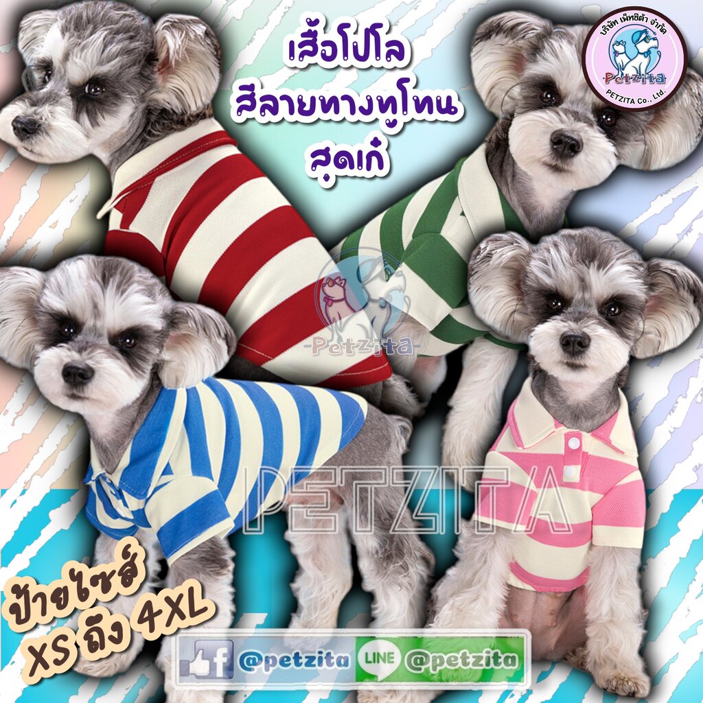 🇹🇭พร้อมส่ง🇹🇭🌈⚡ POLO เสื้อโปโลลายทางสีทูโทน สดใส เก๋ไก๋ อินเทรนด์มากจ้า FOR PET เสื้อสุนัข หมา แมว สัตว์เลี้ยง